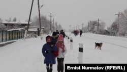 Иллюстративное фото