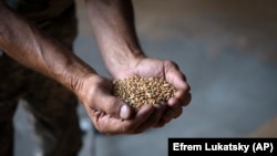 Експортний зерновий коридор через Чорне море був організований Україною після виходу Росії із Чорноморської зернової ініціативи влітку цього року