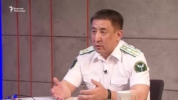 "Матраимов-Көлбаевге тиешеси бар 100дөн ашык бажычы иштен алынды"