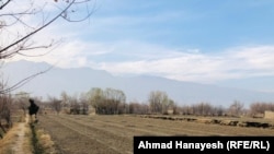 تاثیرات خشکسالی بر زمین‌های زراعتی در پروان (تصویر آرشیف)