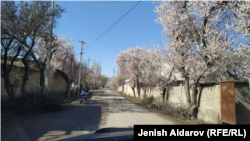 Баткен облусу. 