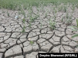 Высохшее Каховское водохранилище