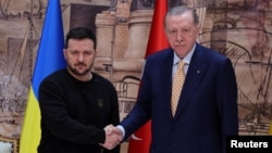 Владимир Зеленский жана Режеп Тайып Эрдоган 