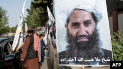تصویر منسوب به ملا هبت الله رهبر گروه طالبان 