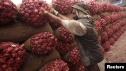 په پېښور کې یو مزدور افغانستان ته د صادرېدونکو پیازو بوجۍ سموي - انځور له ارشیفه. 