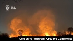 عکس از آرشیف