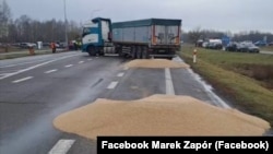 Розсипане учасниками блокування кордону з Україною зерно. Польща, поблизу пункту пропуску «Дорогуськ-Ягодин». 11 лютого 2024 року