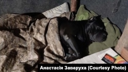 Вася спи в землянка