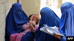 افغانستان کې سږ د پوليو ۲۲ مثبتې پېښې ثبت شوي دي.