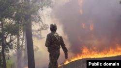 Лесной пожар в Абайской области