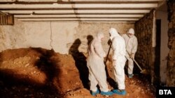 Тунелът под сградата на съда