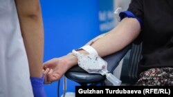 Иллюстративное фото 