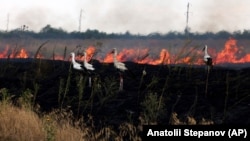 За оцінкою міністерства, відновлення аграрного сектора важливе для забезпечення внутрішньої та світової продовольчої безпеки