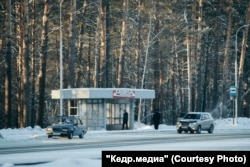 Фото: Павел Грибов