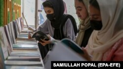 تعدادی از دختران در حال مطالعه کتاب