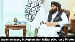 امیرخان متقی سرپرست وزار ت خارجه حکومت طالبان 