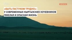 «Быть пастухом трудно»: тяжелые будни современных кыргызских чабанов