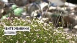 Дивите депонии ја уништија „дивата природа“ во Црна Гора