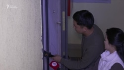 Селекциядагы сестенткен кылмыш