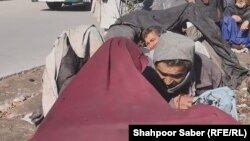 تعدادی از افراد معتاد در ولایت هرات 