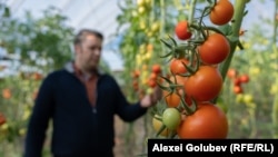 илустрација