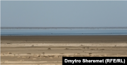 Высохшее Каховское водохранилище, Нововоронцовка Херсонской области, июнь 2023 года