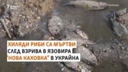 "Екоцид". Хиляди риби са мъртви заради взрива на украинския язовир