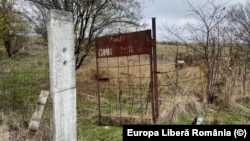 Sute de copii au ajuns în cimitirul de la Plătărești, situat în afara cimitirului din sat și lăsat în paragină.