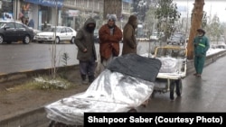 بارش برف و باران و سردی هوا به مشکلات کارگران روزمزد در هرات افزوده است. آنها می گویند بسیاری از روزها صبح تا شام در کنار جاده ها به امید پیدا شدن کاری می ایستند اما شب ها جیب خالی به خانه بر می گردند