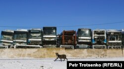 «Кладбище автобусов» в пригороде Алматы. Январь 2024 года