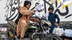 Ахмад Бориз: большую часть правительства Талибан составляют муллы 