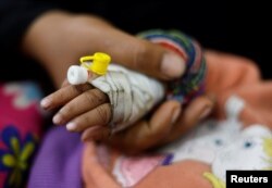 Тое тамактанбаган балага жардам берилүүдө. Рафах. Архив