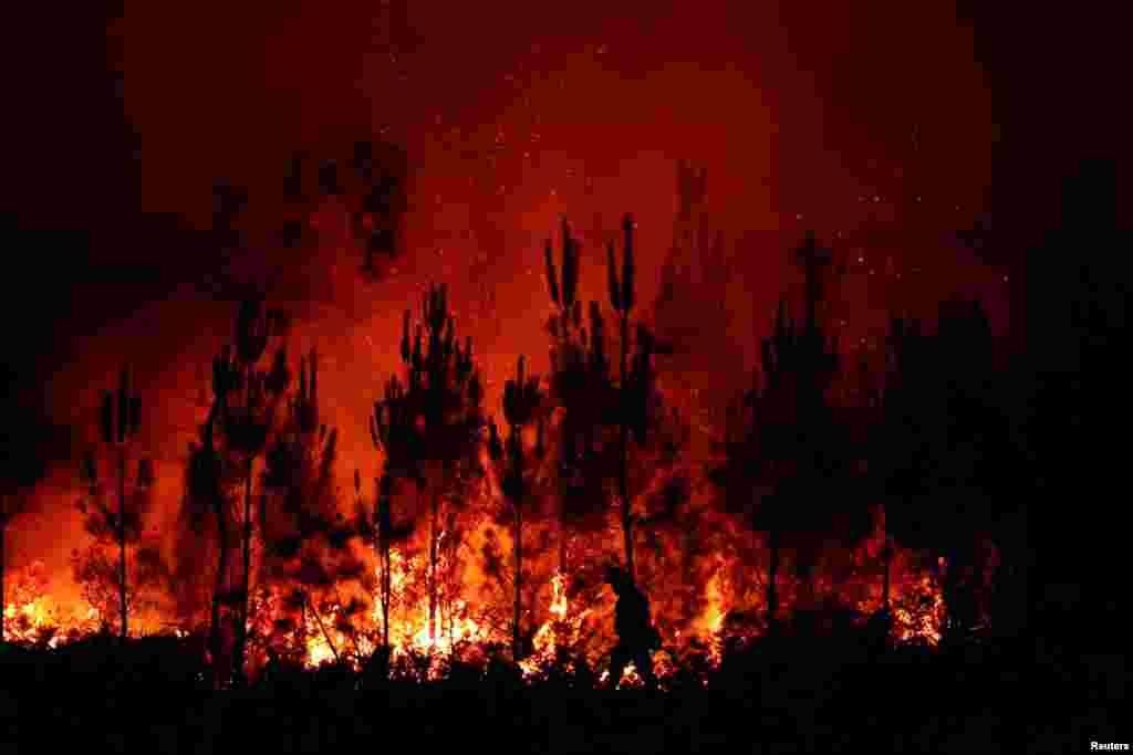 &nbsp;пожари во југозападна Франција, 17 јули 2022 година.