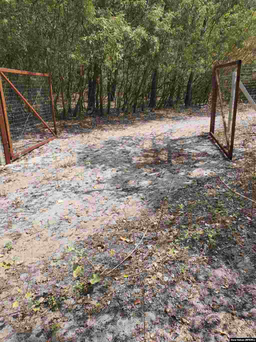 Porți deschise către caii de la Letea...