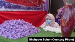 زعفران هرات حالا شهرت جهانی دارد