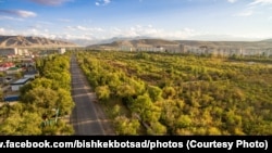 Ботаникалык бак.