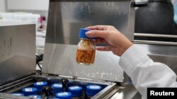 تصویر آرشیف: تحقیق صحی در یکی از لابراتوار های ایالات متحده 