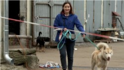 Animalele de companie pierdute sau abandonate în timpul războiului din Ucraina își găsesc un nou adăpost