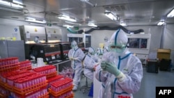 На фотографии показаны технические специалисты, обрабатывающие тесты на коронавирус Covid-19 в лаборатории в Тяньцзине, Китай. 23 ноября 2020 года.