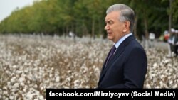 Шавкат Мирзиёев Намангандаги пахта даласида. 16 сентябрь, 2025 йил. 