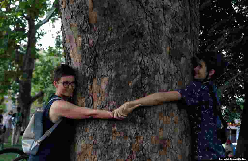 Активистите протестираат против олабавувањето на правилата за сеча во Будимпешта во август. Во Унгарија и на други места, загадувањето на воздухот, исто така, најверојатно ќе стане итен проблем оваа зима. Големиот пораст на побарувачката за огревно дрво во оваа централноевропска земја доведе до тоа унгарската влада да ги олабави ограничувањата за сеча со цел да го направи огревното дрво подостапно. &nbsp;