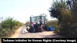 Источник: Turkmen Initiative for Human Rights