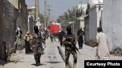 طالبان وعده تحقیق و بازداشت عاملین این رویداد را داده بودند اما تاکنون هم اثری از چنین تحقیقات دیده نمیشود