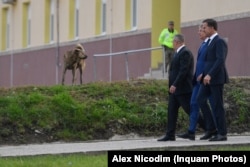 Vizita premierului olandez Mark Rutte la baza militară Cincu, alături de Klaus Iohannis și Nicolae Ciucă, pe 12 octombrie 2022. Olanda cere și o reformă a Justiției, nu doar controale riguroase la granițe.