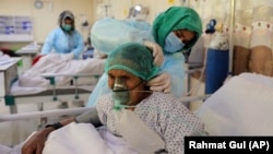 بیماران کرونا در افغانستان