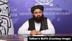 امیر خان متقی سرپرست وزارت خارجه حکومت طالبان