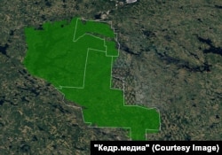 Территория планируемого заказника "Максимъярви" (белый) и границы лесов высокой природоохранной ценности (зеленый)