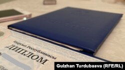 Иллюстрациялык сүрөт. 