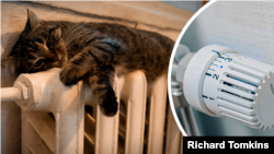 Иллюстрациялык сүрөт