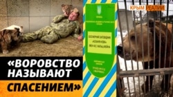 Погибшие и похищенные животные с оккупированных территорий Украины (видео)